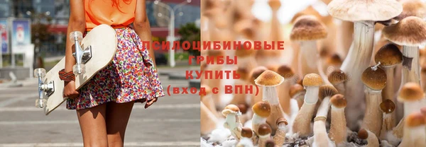 стафф Абдулино